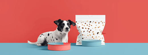 Wie Sie sich für die richtige Verpackung für Ihre Tiernahrung entscheiden